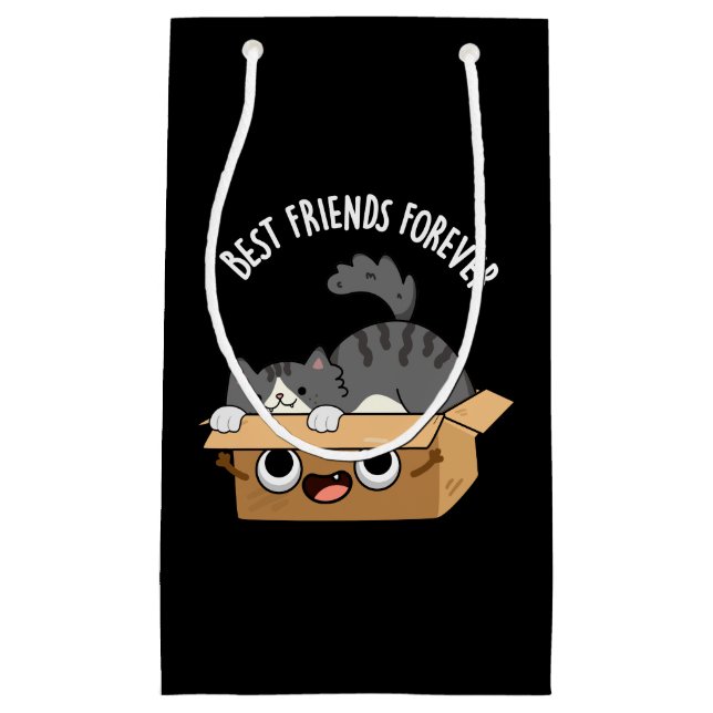 Best Friends Forever Funny Cat And Box Pun Dark BG Small Gift Bag (Front)