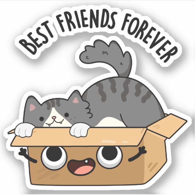Best Friends Forever Funny Cat And Box Pun  Sticker (Front)