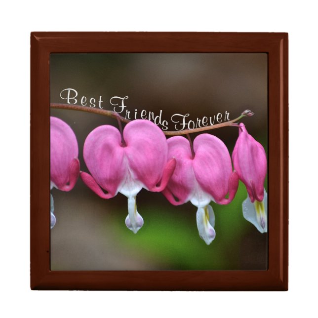 Best Friends Forever Gift Box (Front)