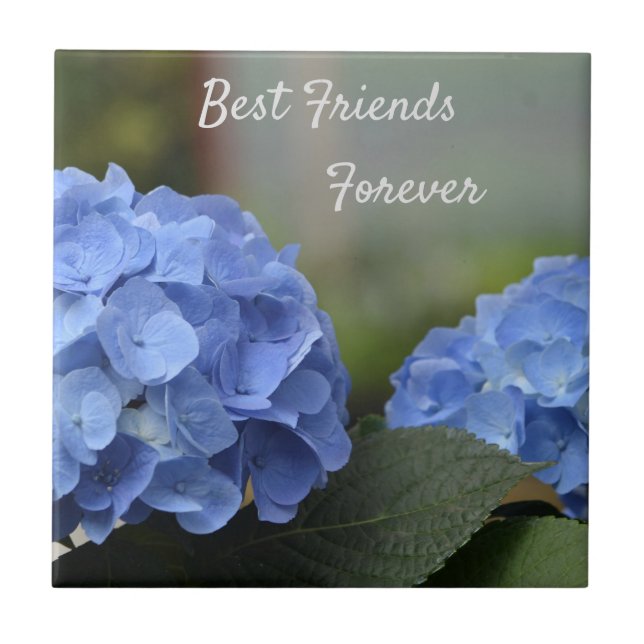 Best Friends Forever Hydrangeas Ceramic Tile (Front)