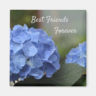 Best Friends Forever Hydrangeas Magnet