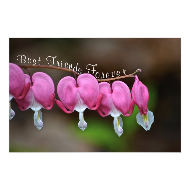 Best Friends Forever Photo Print (Front)