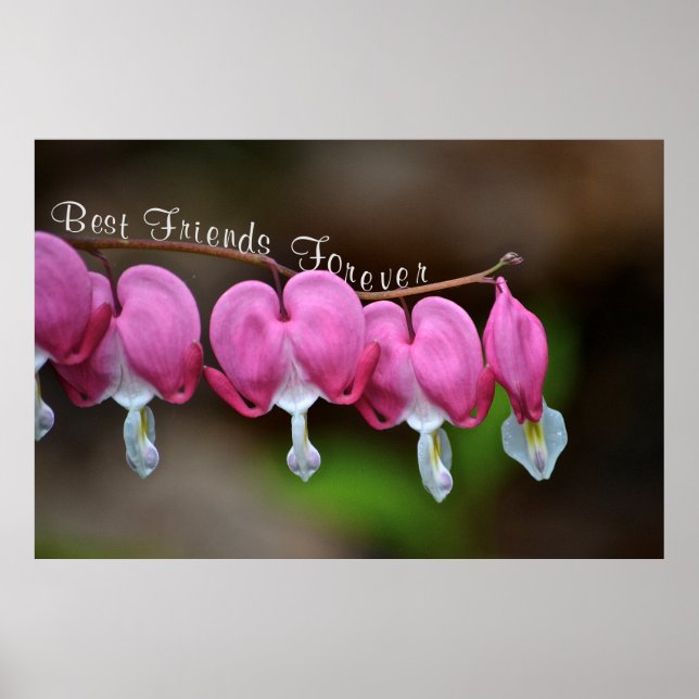 Best Friends Forever Poster (Front)