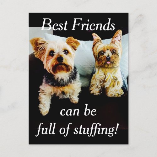 Best Friends Full of Stuffing Yorkie Personalize Postcard