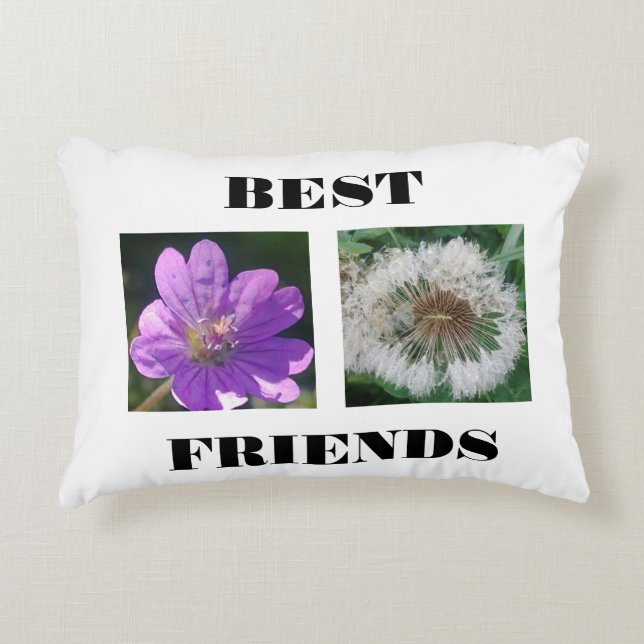 Best Friends Image Template Accent Pillow (Front)