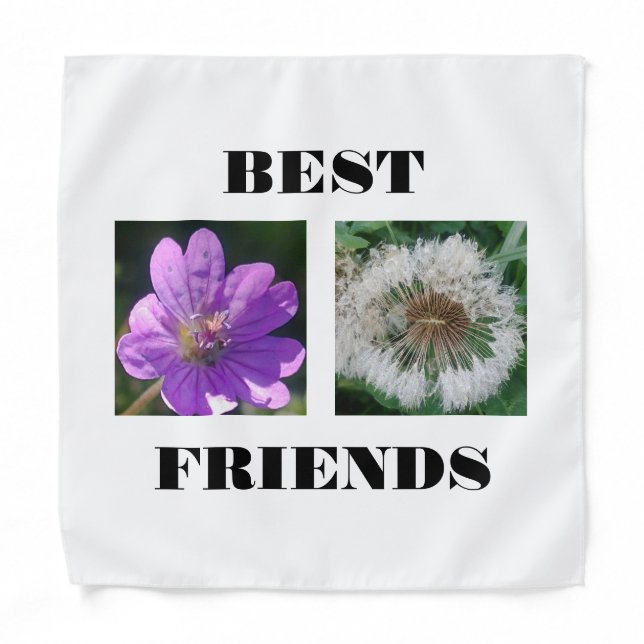 Best Friends Image Template Bandana (Front)