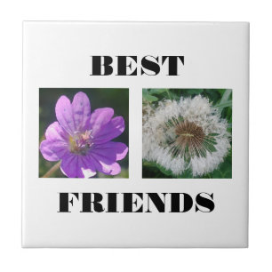 Best Friends Image Template Ceramic Tile