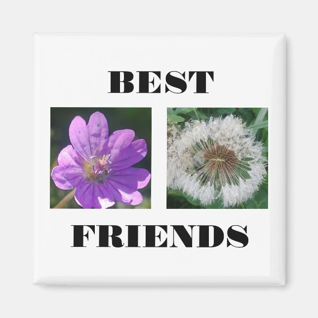 Best Friends Image Template Magnet (Front)