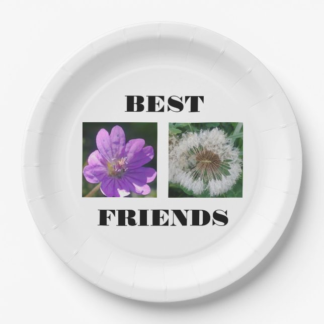 Best Friends Image Template Paper Plates (Front)