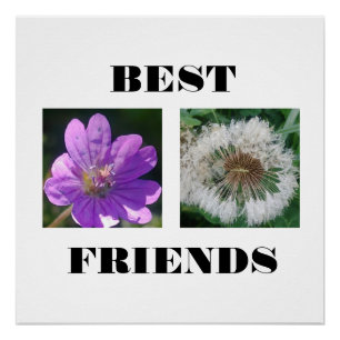 Best Friends Image Template Poster