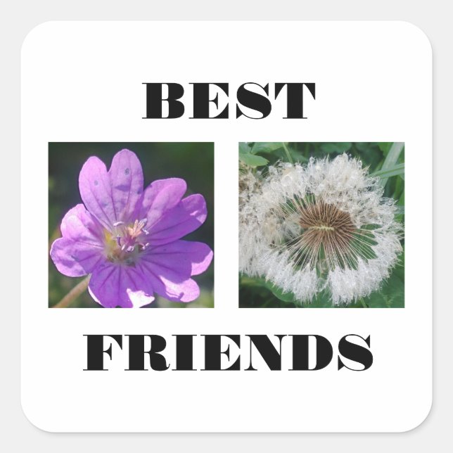 Best Friends Image Template Square Sticker (Front)