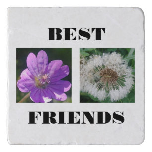 Best Friends Image Template Trivet