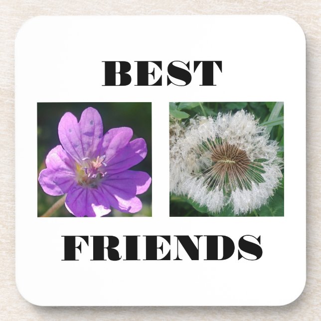 Best Friends Image Template Trivet Beverage Coaster (Front)