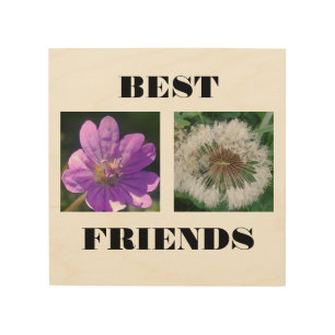 Best Friends Image Template Wood Wall Art