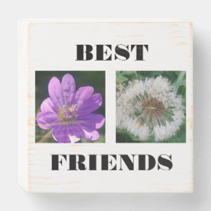 Best Friends Image Template Wooden Box Sign