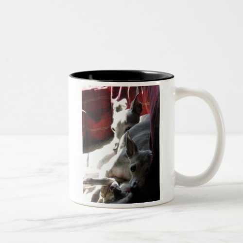 Best Friends italian greyhound photo Two_Tone Coffee Mug