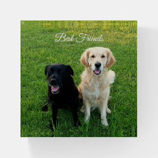Best Friends Labrador and Golden Retriever Dogs Paperweight