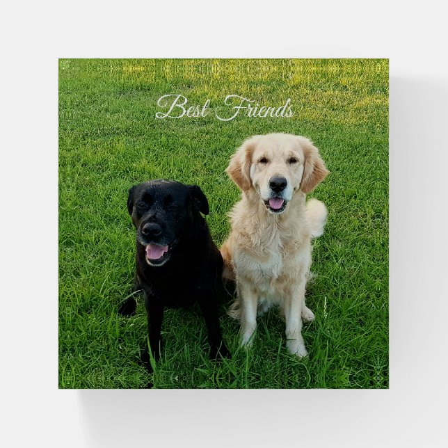 Best Friends Labrador and Golden Retriever Dogs Paperweight (Front)