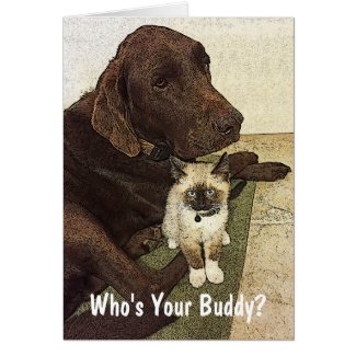 Best Friends Labrador and Kitten Photo Custom