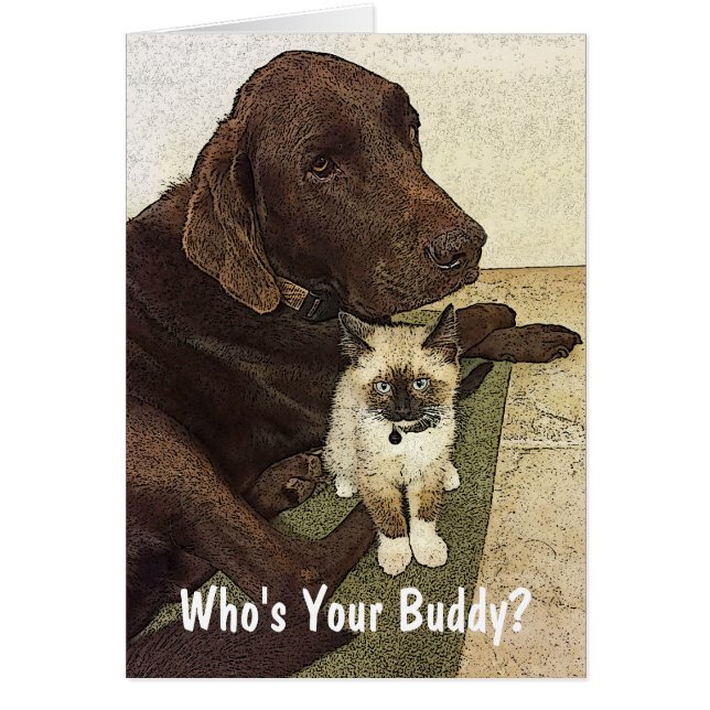 Best Friends Labrador and Kitten Photo Custom (Front)