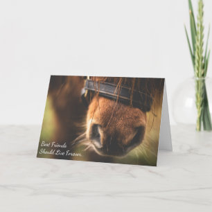 Best Friends Loss of Pony Custom Horse Sympathy Card
