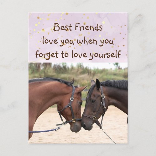 Best Friends Love Horses Love you Inspirational  Postcard