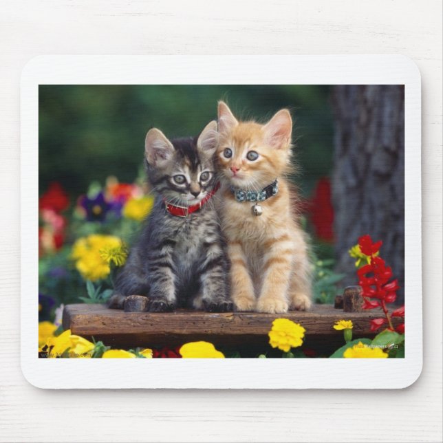 Best Friends Mouse Pad (Front)