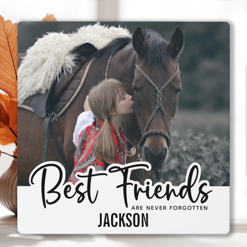 Best Friends Never Forgotten Pet Horse Memorial Plaque