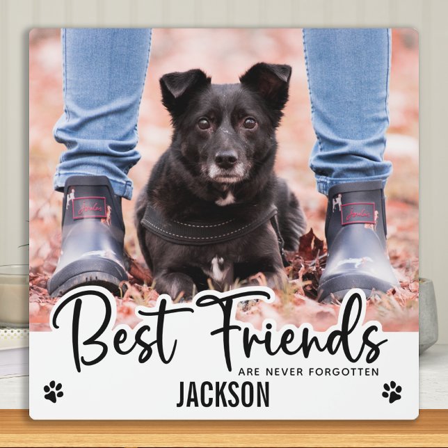 Best Friends Never Forgotten Pet Memorial Plaque (Creator Uploaded)
