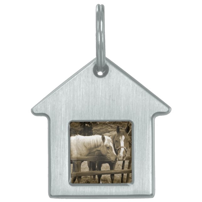 Best Friends Pet Tag (Front)