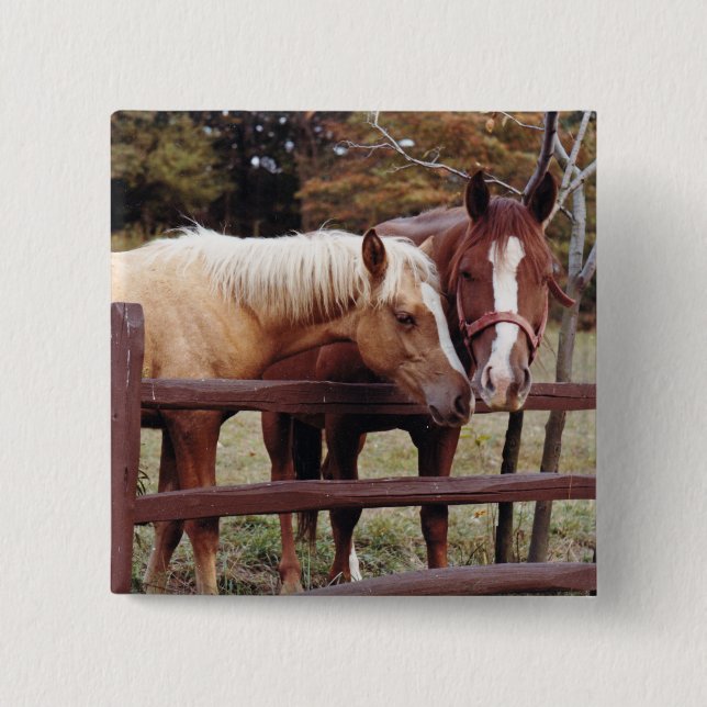Best Friends Pinback Button (Front)