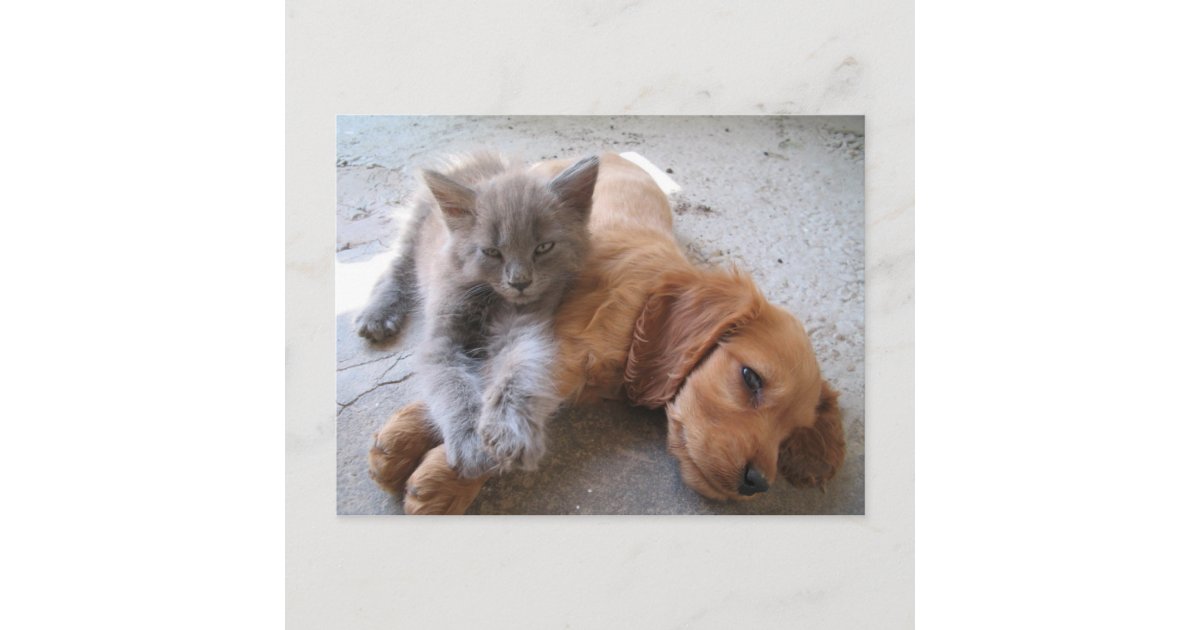 Best Friends Postcard | Zazzle