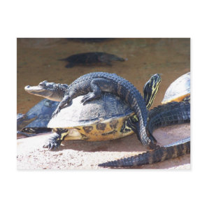 Best Friends Postcard