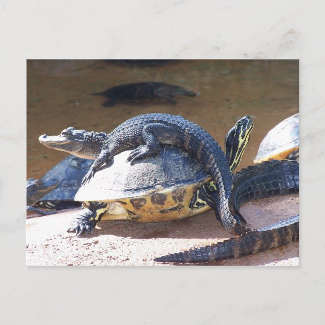 Best Friends Postcard (Front)