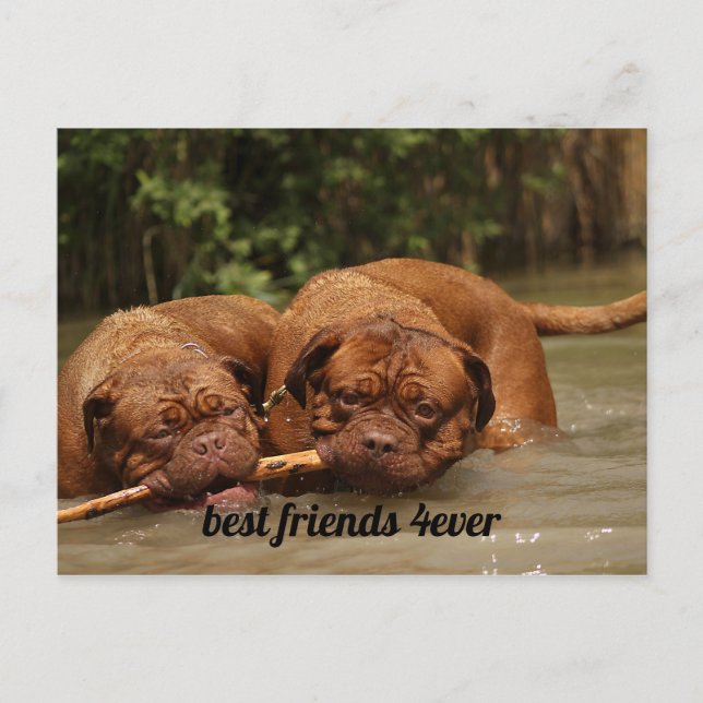 Best Friends Postcard (Front)