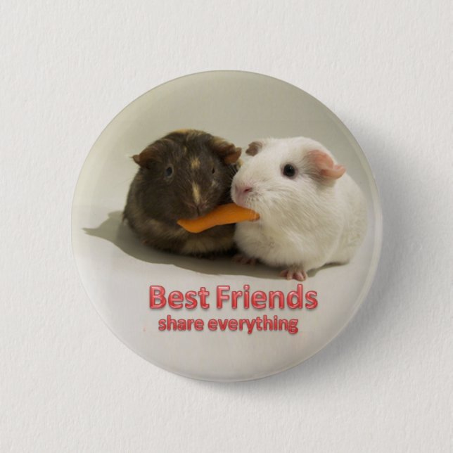 Best Friends share everything Button (Front)