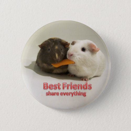 Best Friends share everything Button