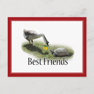 Best Friends - The Turtle & The Goose Postcard