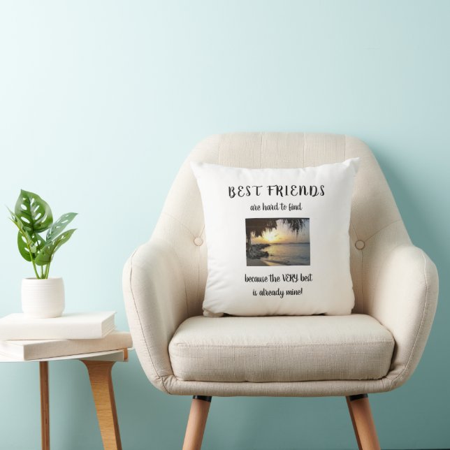 Best Friends Throw Pillow (Chair)