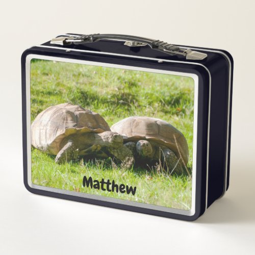 Best Friends Tortoises Metal Lunchbox