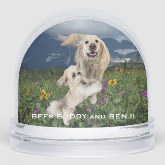 Best Friends Two Dogs in Field of Flowers BFFs