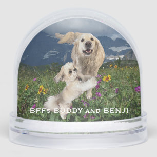 Best Friends Two Dogs in Field of Flowers BFFs Snow Globe