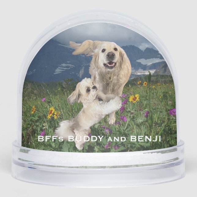 Best Friends Two Dogs in Field of Flowers BFFs Snow Globe (Front)
