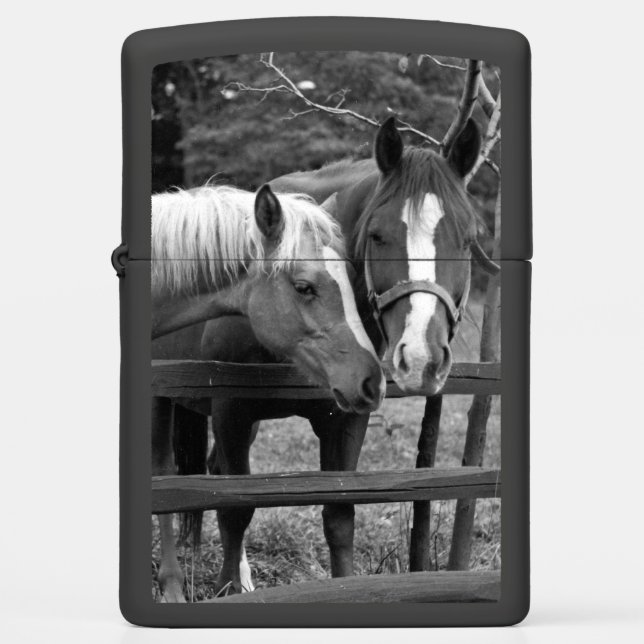 Best Friends Zippo Lighter (Front)