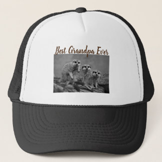 Best Grandpa Ever Photo Gift From Grandkids Brown Trucker Hat