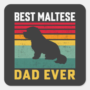 Best Maltese Dad ever, Maltese Dog Dad Square Sticker