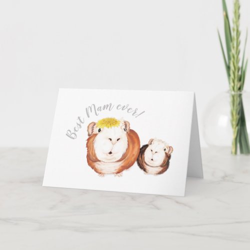 Best Mam Ever Guinea Pig Mothers Day  Card
