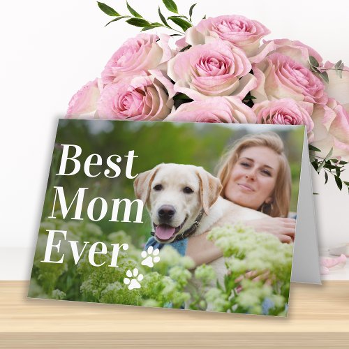 Best Mom Ever Modern Custom Photo Dog  Holiday Card