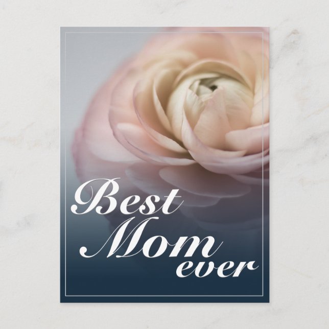 Best Mom Ever with Big Pink Rose Holiday Postcard (Front)