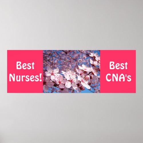 Best Nurses posters Best CNAs prints Nursing